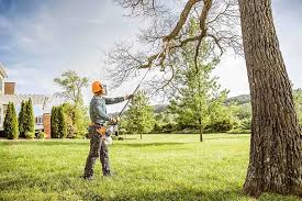 Best Tree Cabling and Bracing  in Heritage Pines, FL